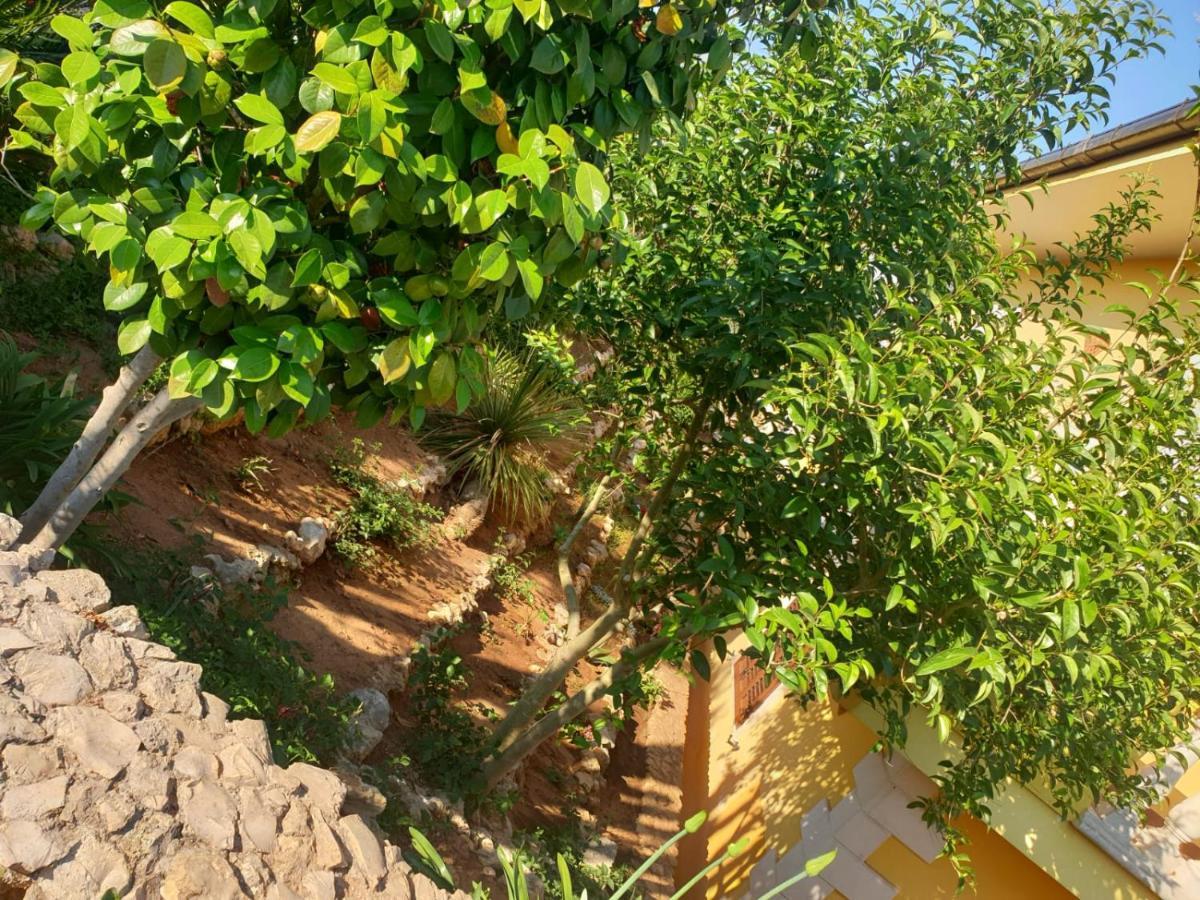 Villa Sargheruoli Monteroni di Lecce Exterior foto